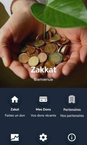 WhatsApp Image 2026-03-11 at 17.24.57